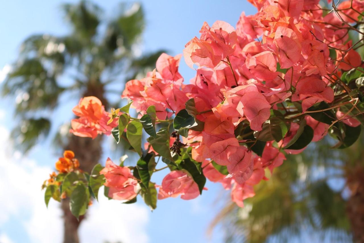 Cala Serena Beach 6 מראה חיצוני תמונה